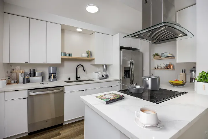 Amethyst Collection apartment for rent #4